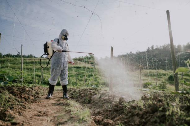 Best Mosquito Control Services  in Kilmarnock, VA