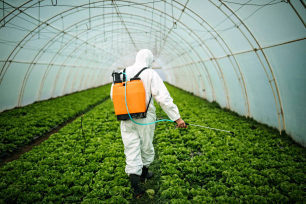 Best Emergency Pest Control  in Kilmarnock, VA