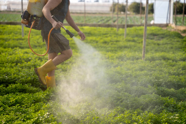 Best Pest Prevention Services  in Kilmarnock, VA