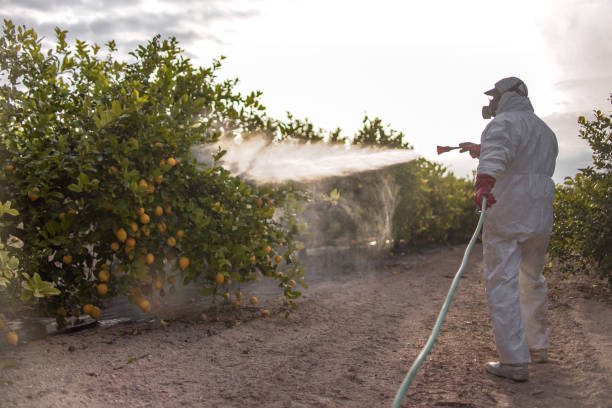 Pest Control Cost in Kilmarnock, VA