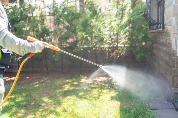 Wasp Removal Services in Kilmarnock, VA