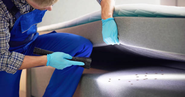 Best Best Pest Control Companies  in Kilmarnock, VA