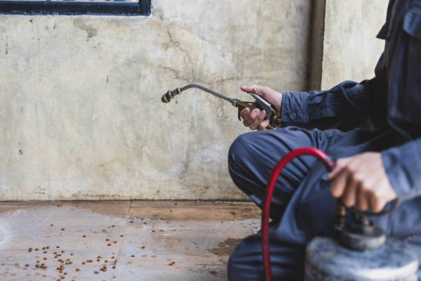 Best Affordable Exterminators  in Kilmarnock, VA