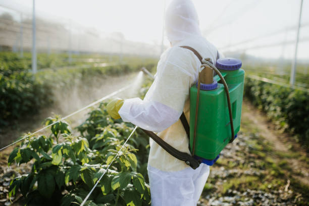 Best Best Pest Control Companies  in Kilmarnock, VA